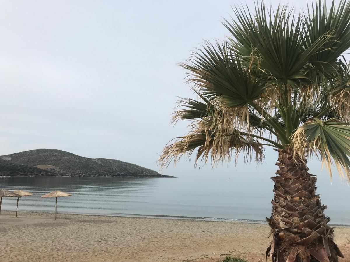 Cosy Studio 2 Minutes Walking From The Beach Anavyssos Bagian luar foto